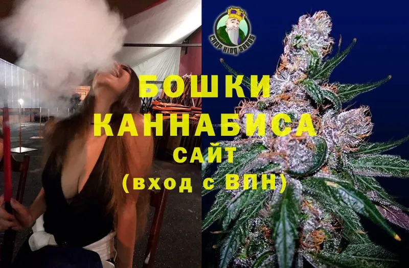 Бошки марихуана OG Kush  дарнет шоп  Шилка 